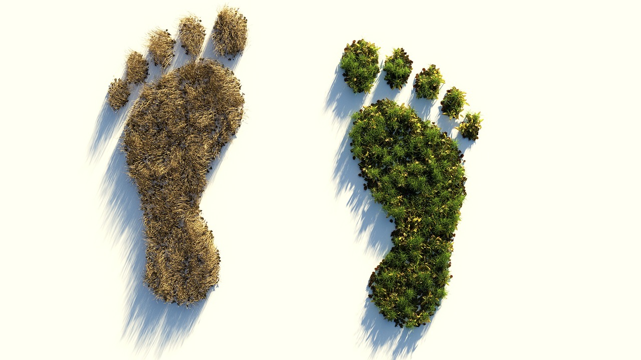 Affordable Steps to Lower Your Carbon Footprint at Home: Simple Changes, Big Impact