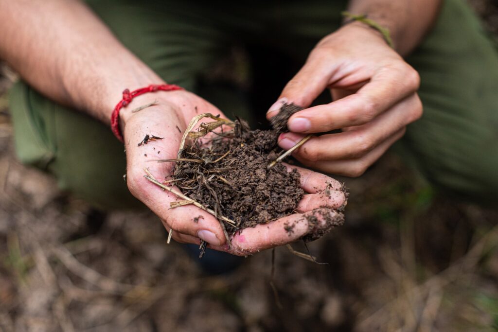 Regenerative Gardening: Maximizing Yields While Restoring Soil Health