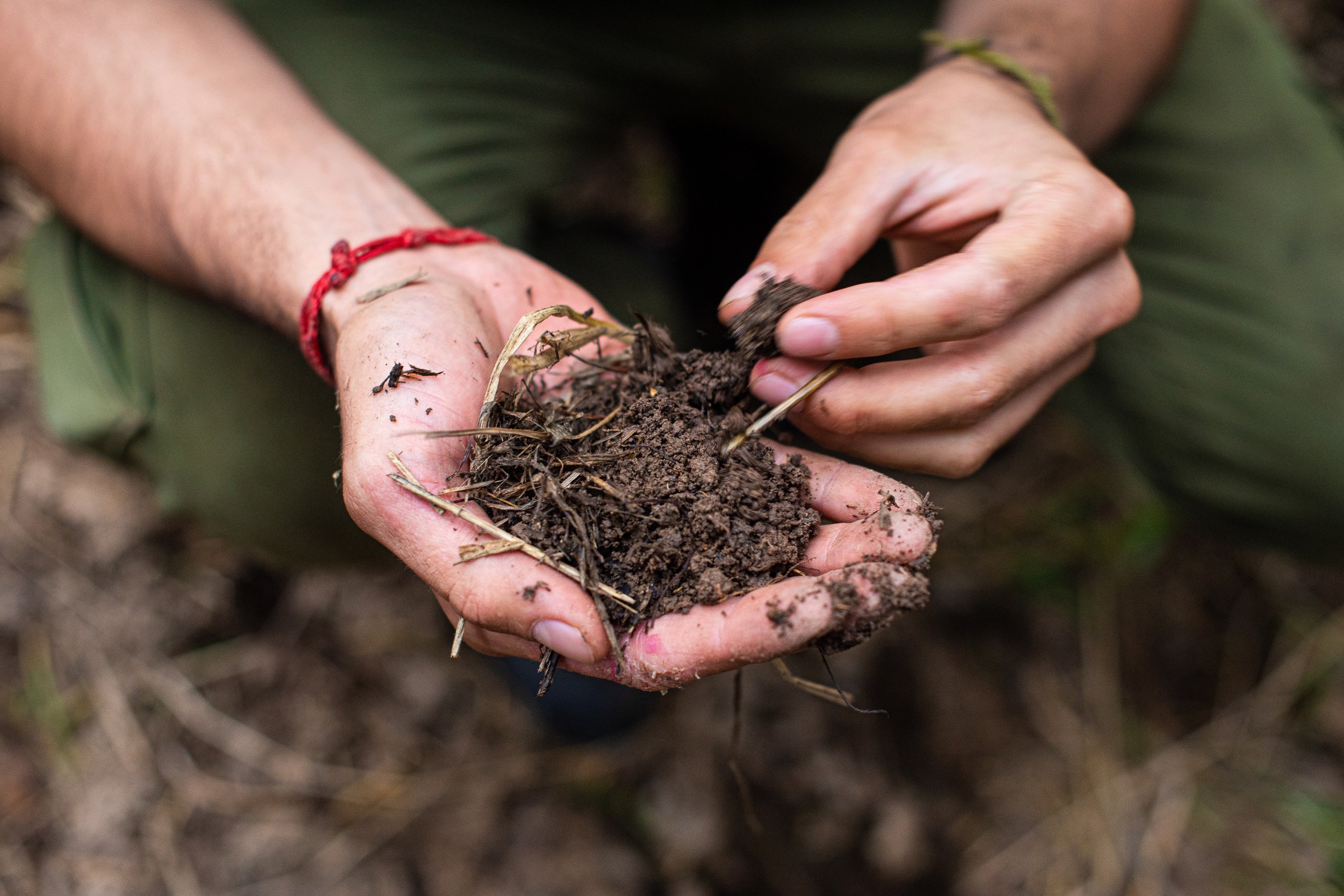 Regenerative Gardening: Maximizing Yields While Restoring Soil Health